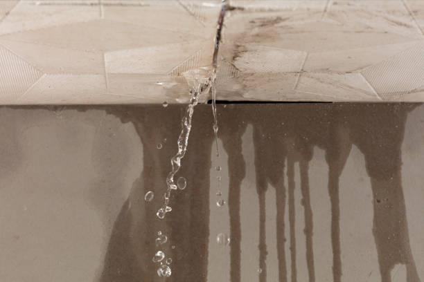 Professional Flood Damage Cleanup technician working in Horton, KS
